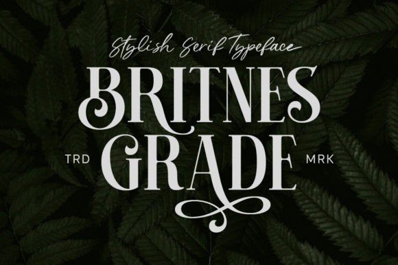 Britnes Grade: A Stylish Serif Font That Elevates Small Business Branding