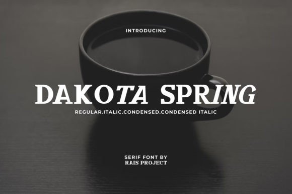 Dakota Spring: A Serif Font That Elevates Small Business Branding