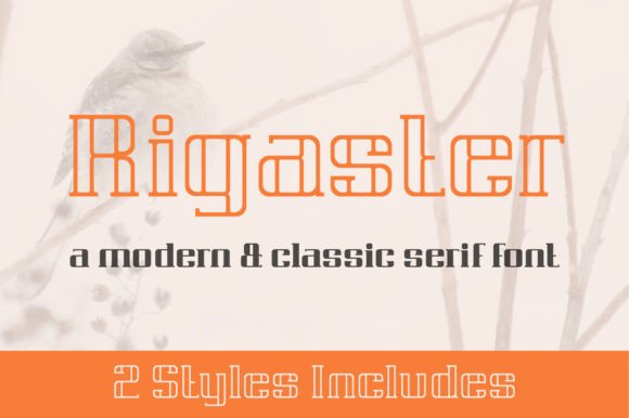 Rigaster: A Serif Font That Elevates Handmade Design and Branding